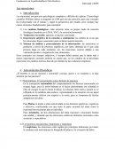 Las emociones en la publicidad