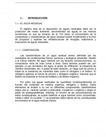 Tratamiento de agua residual. Página 1