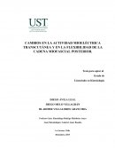 CAMBIOS EN LA ACTIVIDAD MIOELÉCTRICA TRANSCUTÁNEA Y EN LA FLEXIBILIDAD DE LA CADENA MIOFASCIAL POSTERIOR