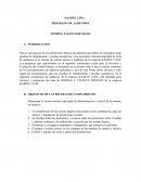KAMITE LTDA PROGRAMA DE AUDITORIA NOMINA-TALENTO HUMANO