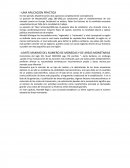 La idea de las areas monetarias optimas