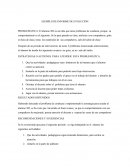 EJEMPLO DE INFORME DE EVOLUCIÓN