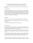 IDENTIFICACION DE CAPSULASY FLAGELOS EN LAS BACTERIAS CULTIVADAS EN LOS AGARES DE SANGRE Y NURTITIVOS