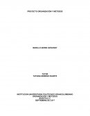 PROYECTO ORGANIZACIÓN Y METODOS