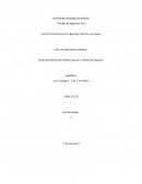 Newton raphson y biseccion