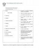 Sistema de Educación Media Superior Escuela Preparatoria Regional de Santa Anita