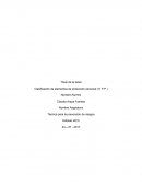 Clasificación de elementos de protección personal ( E P P )