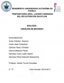 Análisis de materia: Biologia. Analizar la estructura de algunos organismos pertenecientes al reino fungi