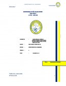 Comportamiento del consumidor. Descripción de las características del segmento elegido desde la Segmentación Psicológica y Pictográfica