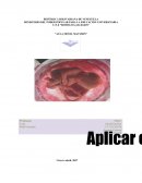 Caso personal de enfermería comunitaria