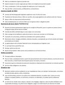 Golpe de estado en munich organizado por Hitler con el objetivo de ascender al poder