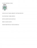 CIENCIA SALUD Y MEDIO AMBIENTE / ESTUDIOS SOCIALES