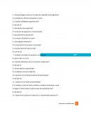 ¿Que psicólogos crearon el concepto de capacidad sociocognitivas?