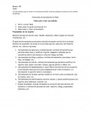 Los documentos que se crean en el escenario de flash o área de trabajo se conocen con el nombre de película: Ensayo de la condición física