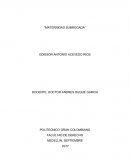 Caso maternidad subrogada