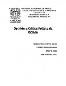 Opinión y Critica Folleto de OCIMA