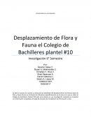 Desplazamiento de Flora y Fauna el Colegio de Bachilleres plantel #10