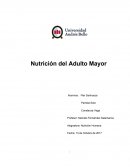 La Nutrición del Adulto Mayor