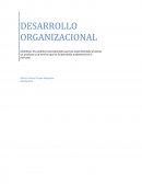 Desarrollo Organizacional COCA-COLA