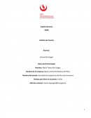 Ensayo de El nuevo Análisis de puestos