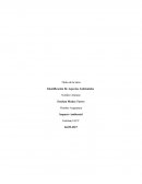 Identificación De Aspectos Ambientales Actividad del proceso minero