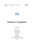 Clonación y Transgénesis