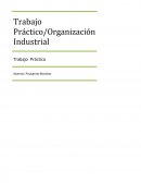 Trabajo Práctico/Organización Industrial Trabajo Práctico