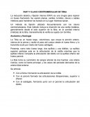 RAFI Y CLAVO CENTROMEDULAR DE TIBIA