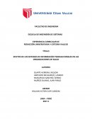 EFECTOS DE LOS SISTEMAS DE INFORMACIÓN TRANSACCIONALES EN LAS ORGANIZACIONES DE SALUD