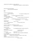 AROMATIZANTE AMBIENTAL ADIDAS ORIENTAL	AROMATIZANTE AMBIENTAL ADIDAS ORIENTAL