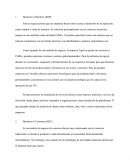 Business to Business (B2B)