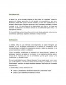 Diabetes en el Embarazo ensayo