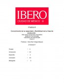 Capacidad en lineas de producción