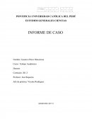 EL GRAN INFORME SOBRE PUENTES EN MAL ESTADOS EN EL PERÚ