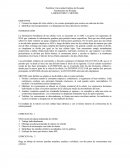 LABORATORIO DE MITOSIS