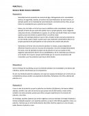 BUILD A BEAR: BUILD A MEMORY.