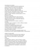 Características de los animales Invertebrados