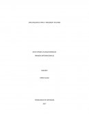 EXPLOTACION DE APPLE Y MICROSOFT EN CHINA