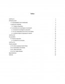 El nuevo Fortalecimiento de las capacidades y habilidades comunicativas de los alumnos atreves de la tecnología