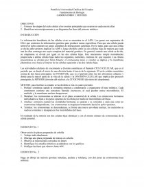 LABORATORIO DE MITOSIS. Página 1