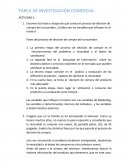 TAREA DE INVESTIGACIÓN COMERCIAL