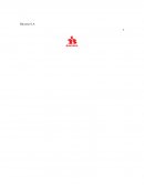 Bavaria S.A Análisis