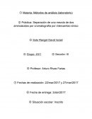 Cromatografia por intercambio ionico