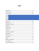 TRABAJO FINAL DE EMPRENDURISMO Y EMPRESA