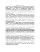 Crecimiento y desarrollo ensayo