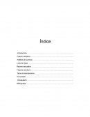 Tema de Portafolio de elaboración y presentación de texto