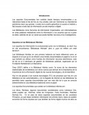 Ensayo Soportes en Bibliotecas hibridas