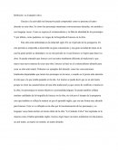 Reflexión: La Cantante Calva