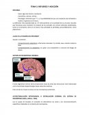 Refuerzo y adicción