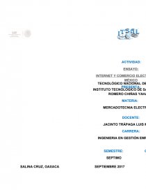 INTERNET Y COMERCIO ELECTRÓNICO EN MÉXICO. Página 1